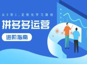 拼多多运营升阶手册，从0到1个性化学习路线图-番茄副业网