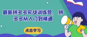 全新拼多多平台实战演练夏令营,拼多多平台实用教程-番茄副业网