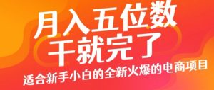 月入五位数，干就完了， 适宜新手入门一个全新的火热的电商项目-番茄副业网