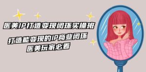 医疗美容IP打造出转现闭环控制实际操作班，打造出能快速变现IP商业闭环，医疗美容游戏玩家必读（22节）-番茄副业网