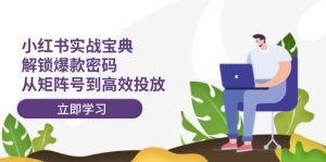 小红书实战宝典：解锁爆款密码，从矩阵号到高效投放-番茄副业网