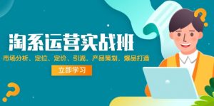 （12186期）淘系运营实战班：市场分析、定位、定价、引流、产品策划，爆品打造-番茄副业网