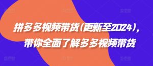 拼多多视频卖货(更新至2024)，陪你充分了解多多的短视频带货-番茄副业网