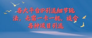 各个平台IP引流方法小细节游戏玩法，不用一卡一机，适用于各种新项目引流方法-番茄副业网