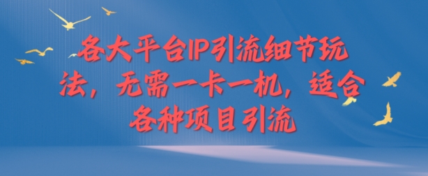 各个平台IP引流方法小细节游戏玩法，不用一卡一机，适用于各种新项目引流方法-番茄副业网