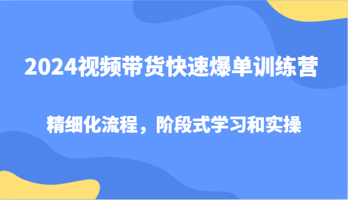 2024短视频带货迅速打造爆款夏令营，精细化管理步骤，环节式教学和实际操作-番茄副业网