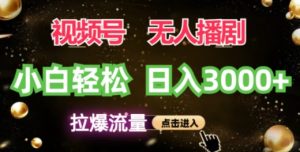 微信视频号蓝海项目,没有人播剧拉爆总流量,新手都可以轻松日入3K-番茄副业网