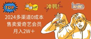 (12317期)2024多渠道0成本售卖爱奇艺会员月入2W+-番茄副业网