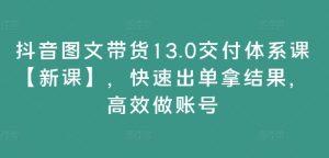 抖音图文带货13.0交货管理体系课【新授课】,迅速出单拿结论,高效率做账户-番茄副业网