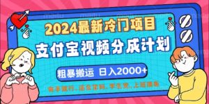 2024全新蓝海项目,支付宝钱包短视频分为方案,立即粗鲁运送,有手就行-番茄副业网