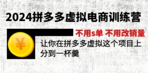 （12024期）2024拼多多虚拟电商训练营 不s单 不改销量  做虚拟项目分一杯羹(更新10节)-番茄副业网