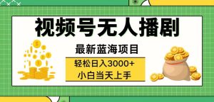 （12128期）视频号无人播剧，轻松日入3000+，最新蓝海项目，拉爆流量收益，多种变…-番茄副业网
