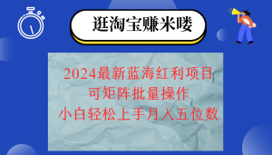（12033期）2024淘宝网瀚海收益新项目，没脑子运送使用方便，新手轻轻松松月入五位数，可引流矩阵…-番茄副业网