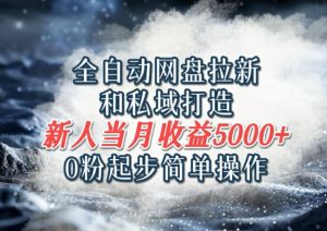 自动式百度云盘引流和公域打造出，0粉发展易操作，新手新手入门当月盈利5000之上-番茄副业网