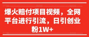爆红赔偿新项目短视频,全网平台进行引流,日引自主创业粉1W 【揭密】-番茄副业网