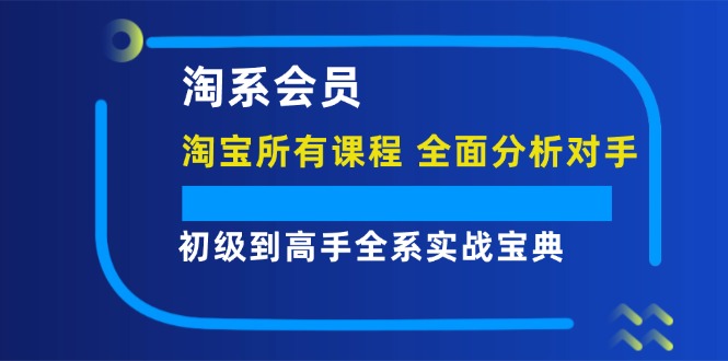 淘系会员初级到高手全系实战宝典【淘宝所有课程，全面分析对手】-番茄副业网