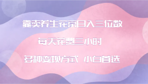 靠卖养生花茶日入三位数，每天花费三小时 多种变现方式 小白首选-番茄副业网