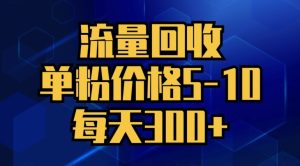 总流量回收利用，单粉价钱5-10，每日300 ，轻轻松松月入五位数-番茄副业网