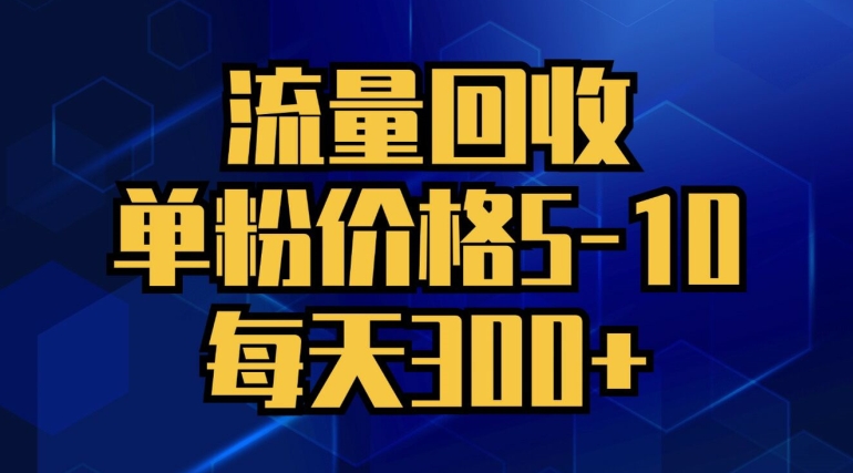 总流量回收利用，单粉价钱5-10，每日300 ，轻轻松松月入五位数-番茄副业网
