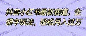 抖音小红书最新生态，不认识的字游戏玩法，轻轻松松月入了万-番茄副业网