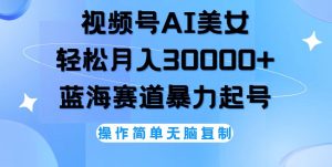 （12125期）视频号AI美女跳舞，轻松月入30000+，蓝海赛道，流量池巨大，起号猛，无…-番茄副业网