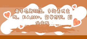 撸羊毛新模式，多种形式转现，日入200 ，简易好做，第二职业转现-番茄副业网