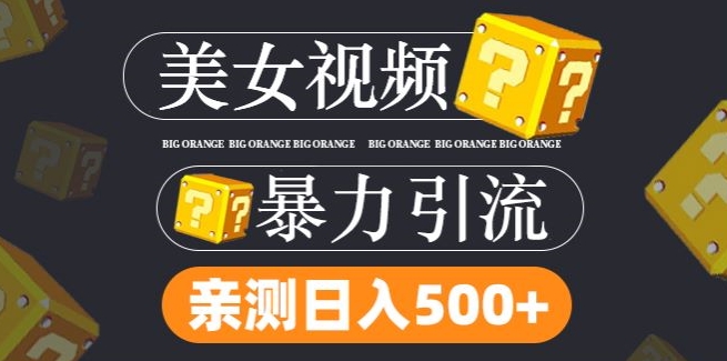 搬运tk美女视频全网分发，日引s粉300+，轻松变现，不限流量不封号【揭秘】-番茄副业网