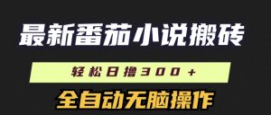 全新番茄小说打金，日撸300 ，自动式实际操作，可引流矩阵变大-番茄副业网