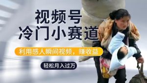利用感人瞬间视频，赚视频号分成计划收益，操作简单，新手小白轻松上手-番茄副业网