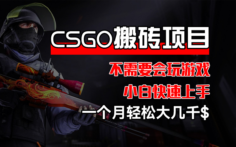 （12332期）CSGO 装备搬砖项目，操作简单，不需要会玩游戏，小白也能快速上手，一…-番茄副业网