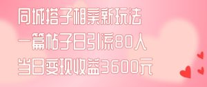 同城搭子相亲新玩法一篇帖子引流80人当日变现3600元(项目教程+实操教程)【揭秘】-番茄副业网
