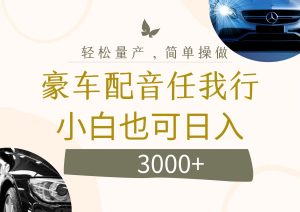 （12206期）不为人知的暴力小项目，豪车配音，日入3000+-番茄副业网