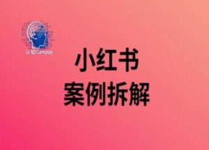 小红书的实例拆卸，深度解析小红书的40万粉-番茄副业网
