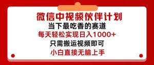 （12017期）微信中视频伙伴计划，仅靠搬运就能轻松实现日入500+，关键操作还简单，…-番茄副业网