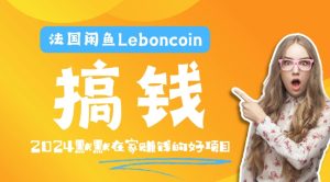 法国的闲鱼平台Leboncoin跨境电子商务实例教程:自然环境电子邮箱手机处理商品提交及总流量,悄悄的挣钱【揭密】-番茄副业网