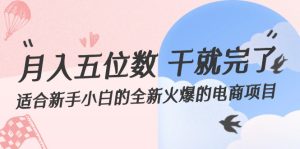 (12241期)月入五位数 干就完了 适合新手小白的全新火爆的电商项目-番茄副业网