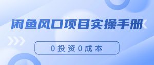 （11923期）闲鱼平台蓝海项目实际操作指南，0投入0成本费，使你保证，月入了万，初学者能做-番茄副业网