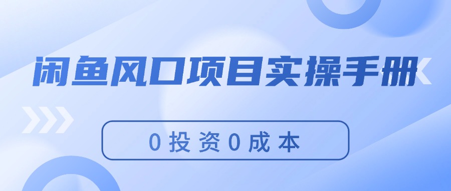 （11923期）闲鱼平台蓝海项目实际操作指南，0投入0成本费，使你保证，月入了万，初学者能做-番茄副业网