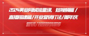 2024美容连锁同城网总流量课，小视频篇/直播间构建篇/开张营销推广玩法/周年庆典营销推广/视频编辑等-番茄副业网