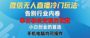 微信无人在线小众游戏玩法，道别业内卷，单日轻轻松松转现四位数，新手的自主创业优选【揭密】-番茄副业网