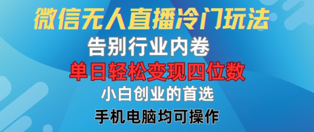 微信无人在线小众游戏玩法，道别业内卷，单日轻轻松松转现四位数，新手的自主创业优选【揭密】-番茄副业网