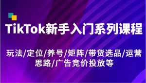 TikTok新手入门系列课程，玩法/定位/养号/矩阵/带货选品/运营思路/广告竞价投放等-番茄副业网