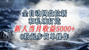 自动式百度云盘引流和公域打造出,0粉发展易操作,新手新手入门当月盈利5000之上-番茄副业网