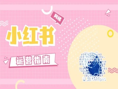 小红书运营手册，无套路，都是工作经验-番茄副业网