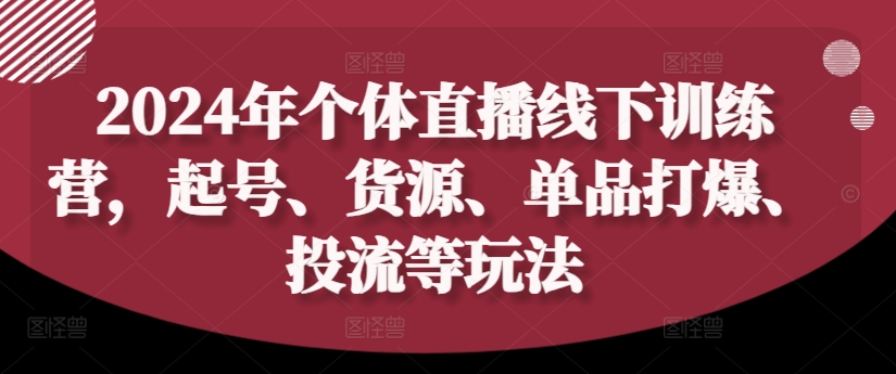 2024年个人直播间夏令营，养号、一手货源、品类打穿、投流等玩法-番茄副业网