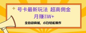 号卡全新游戏玩法，高佣金当日开单，月赚1W-番茄副业网