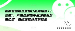 微信视频号微信豆直播打品陪跑营(十三期)，不去做自动流出然冷动启都不不去做公域，接直达付完费拿结果-番茄副业网