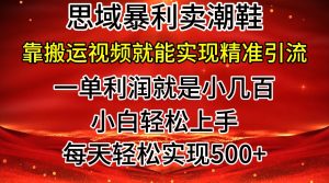 公域卖潮牌鞋子爆利游戏玩法，新手快速上手，日赚多张，轻松，只靠搬运视频就可精准引流方法-番茄副业网