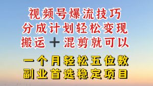 视频号分成最暴力赛道，几分钟出一条原创，最强搬运+混剪新方法，谁做谁爆【揭秘】-番茄副业网
