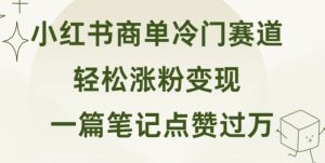 小红书的商单小众跑道 一篇手记关注点赞破万 轻轻松松增粉转现-番茄副业网